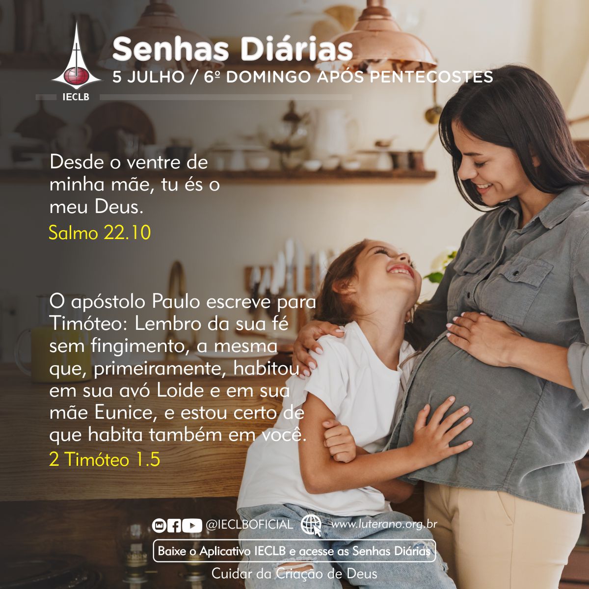 Senhas Diárias 05 07 2026