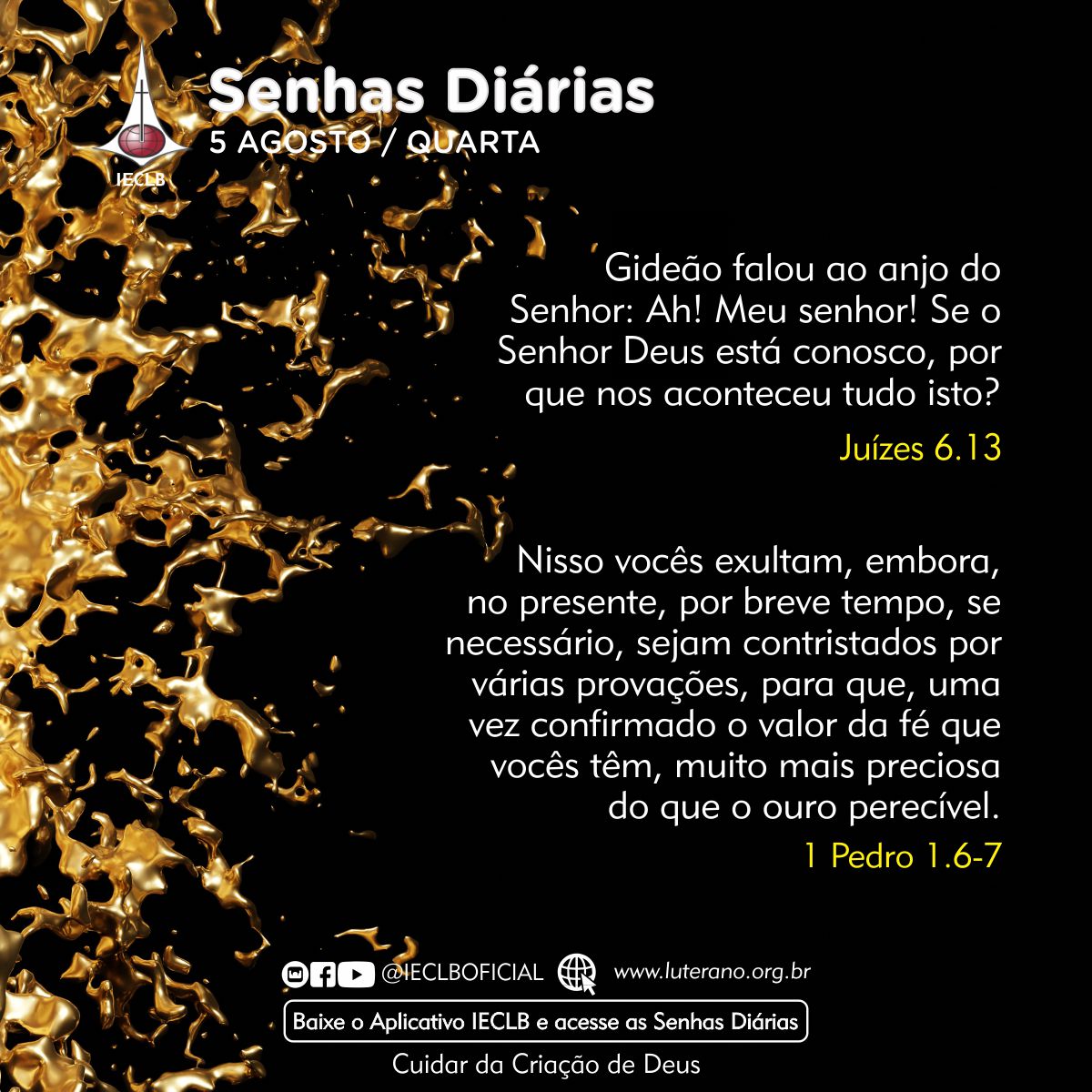 Senhas Diárias 05 08 2026