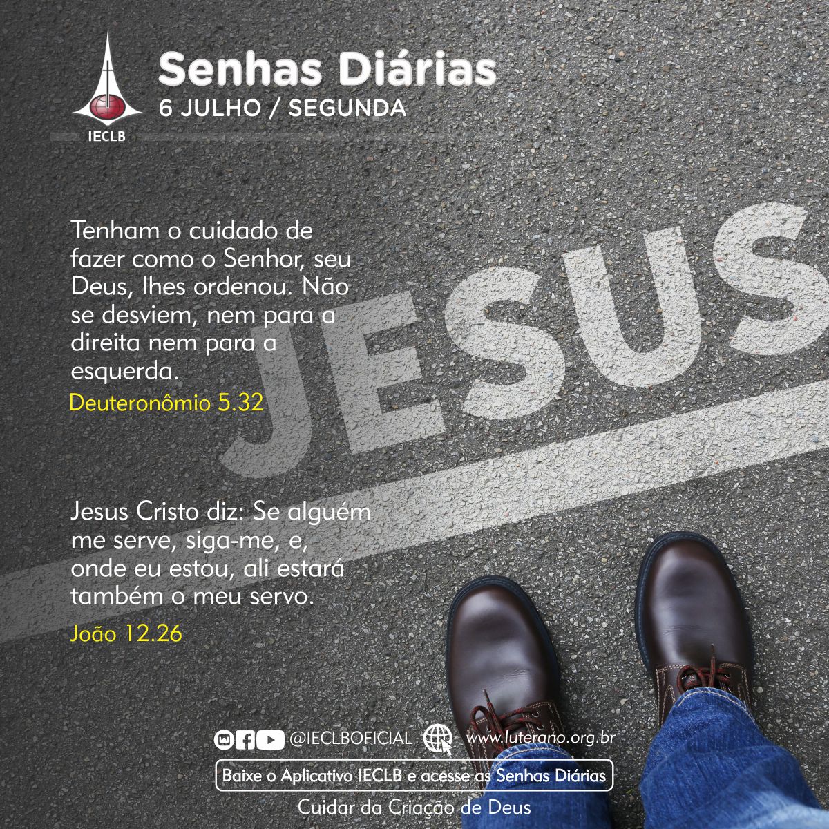 Senhas Diárias 06 07 2026