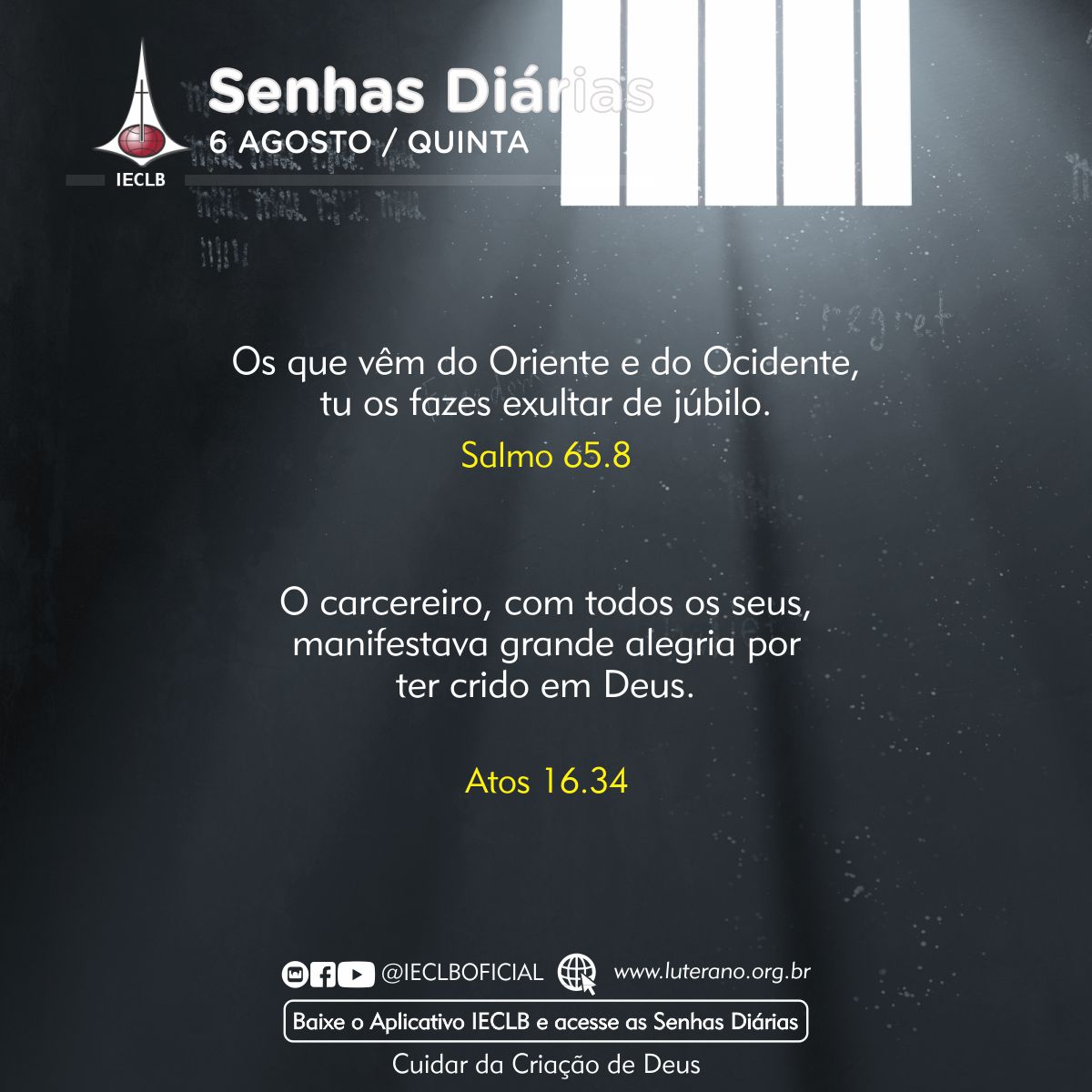 Senhas Diárias 06 08 2026