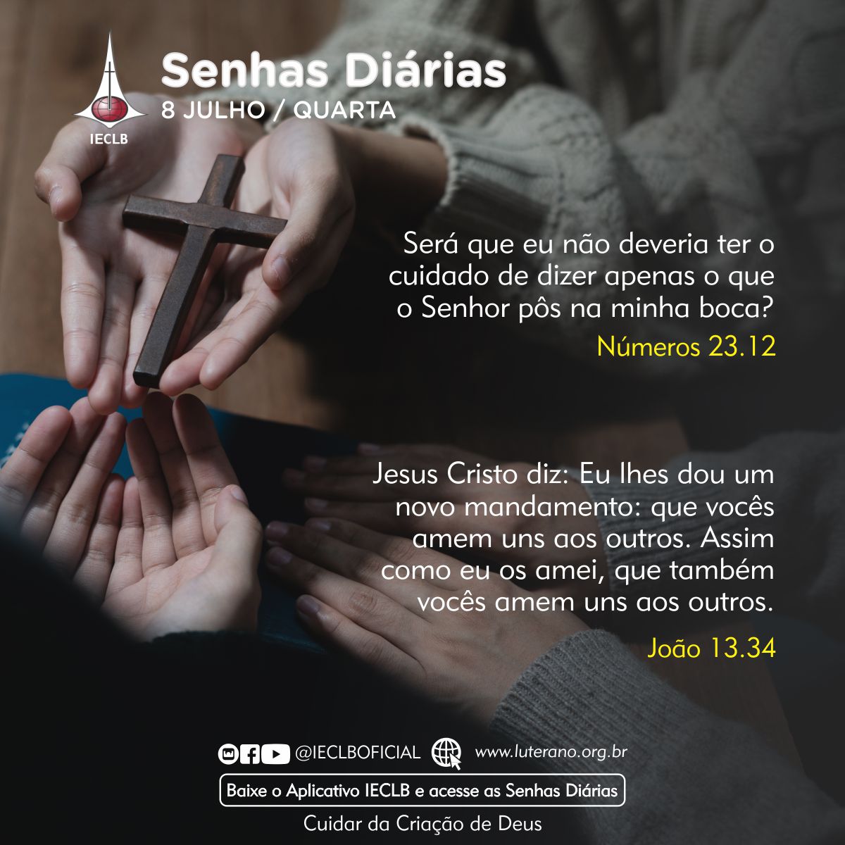 Senhas Diárias 08 07 2026