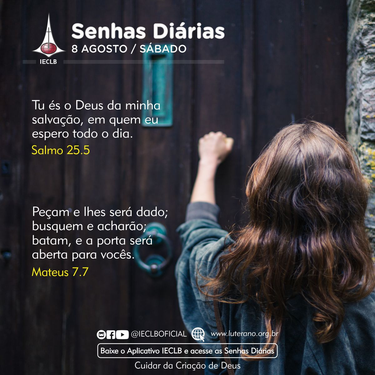 Senhas Diárias 08 08 2026