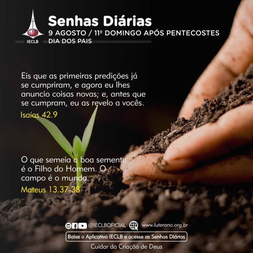 Senhas Diárias 09 08 2026