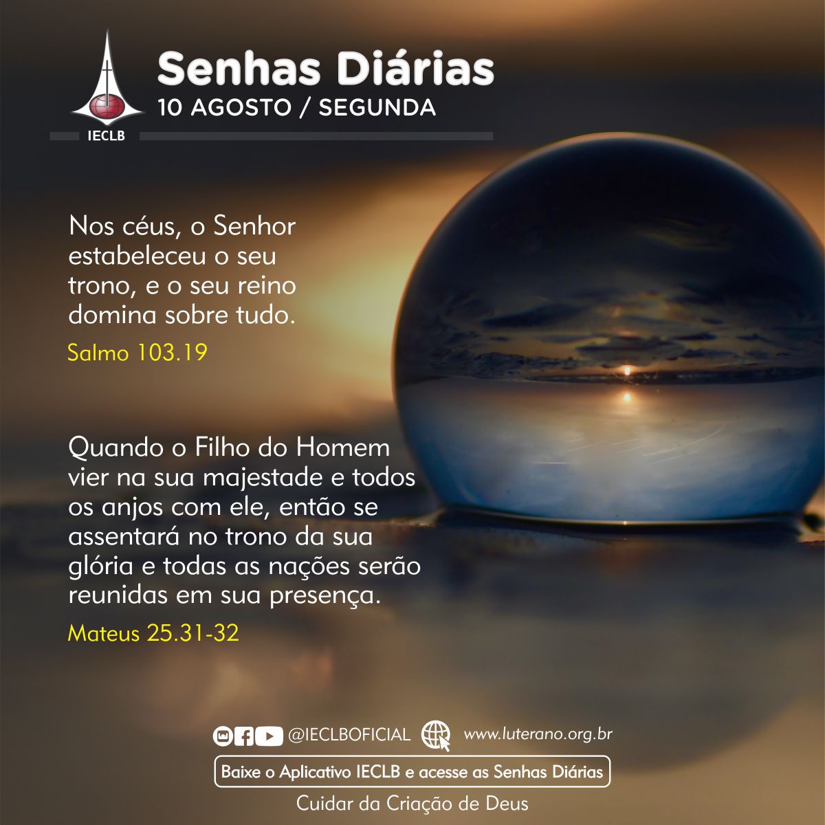 Senhas Diárias 10 08 2026