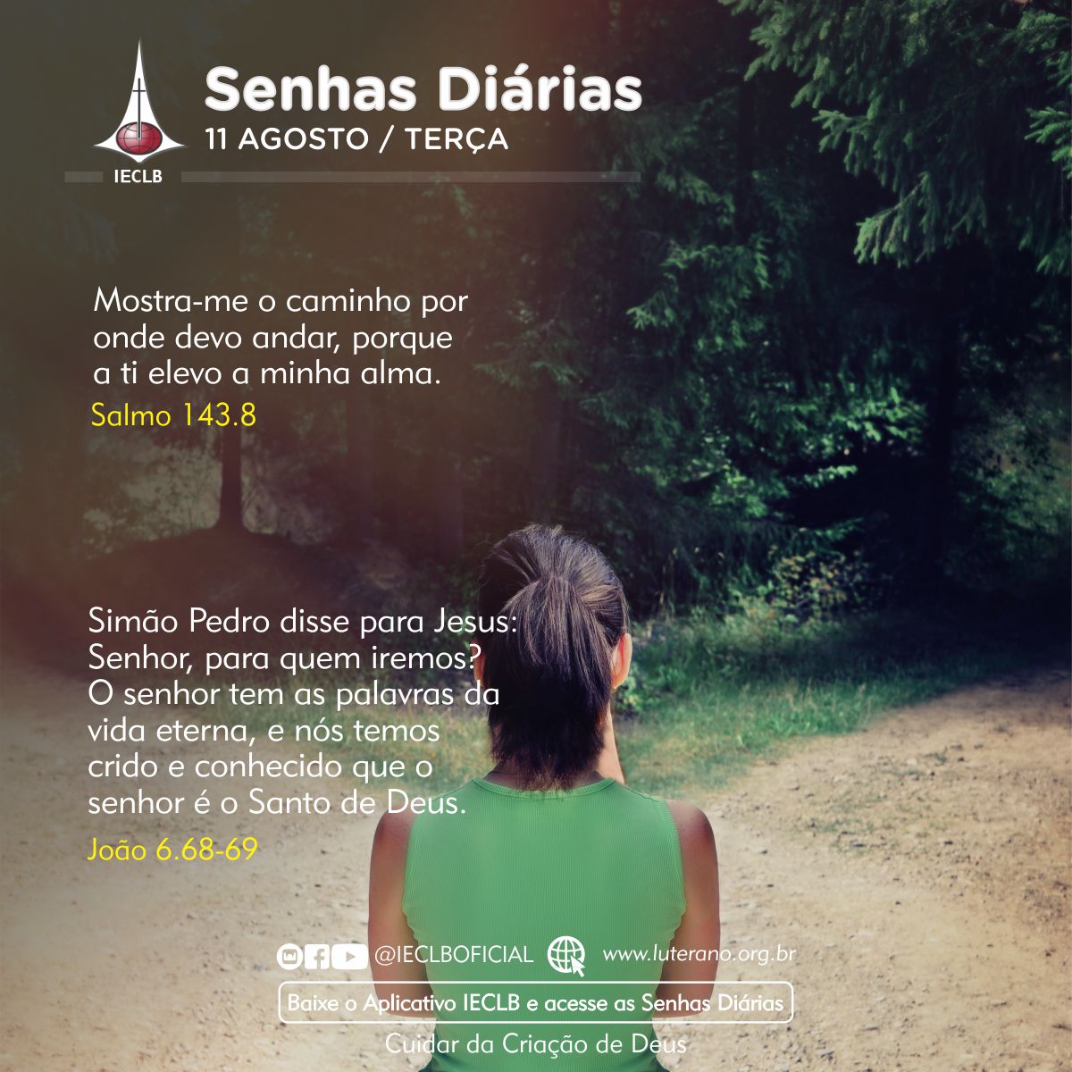 Senhas Diárias 11 08 2026