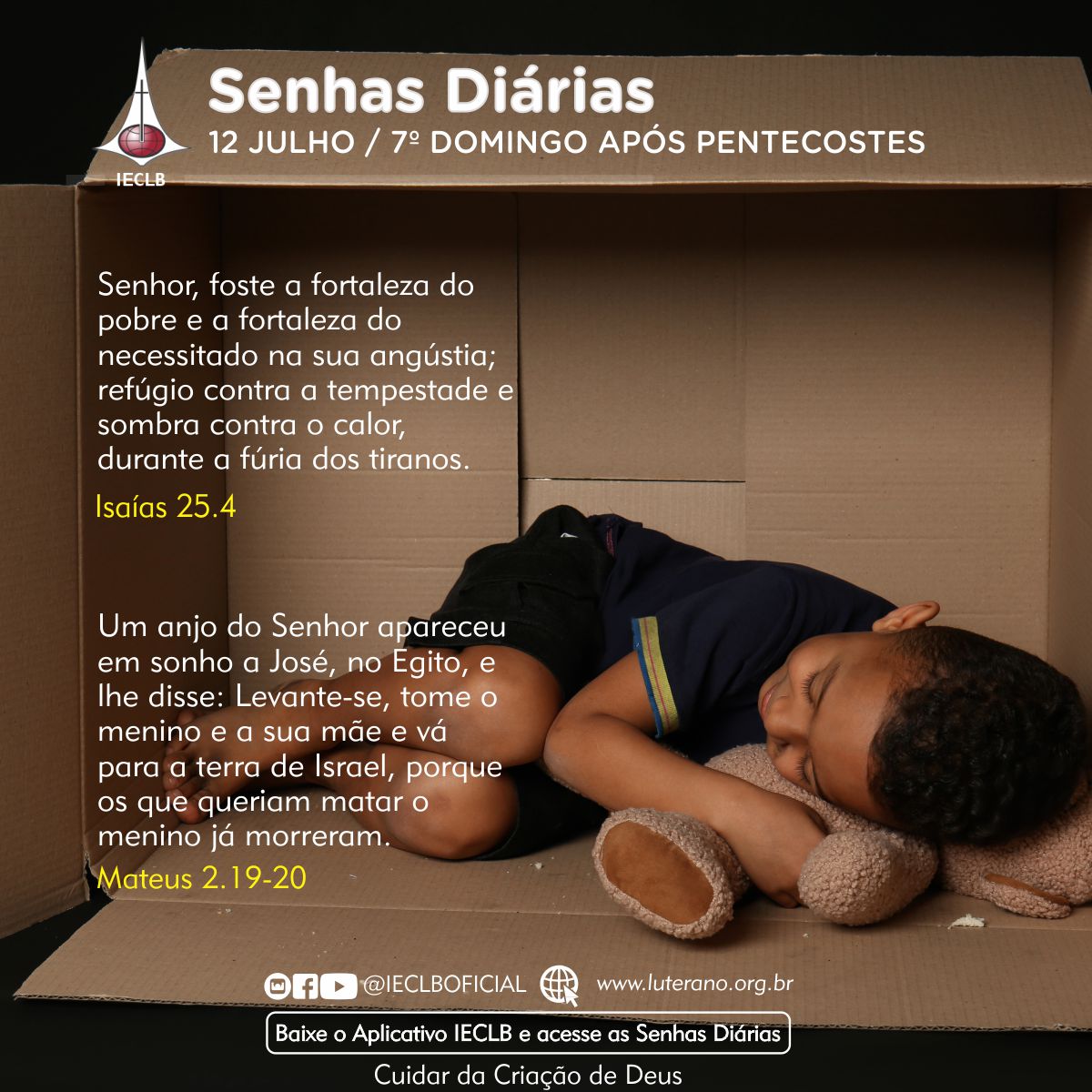 Senhas Diárias 12 07 2026