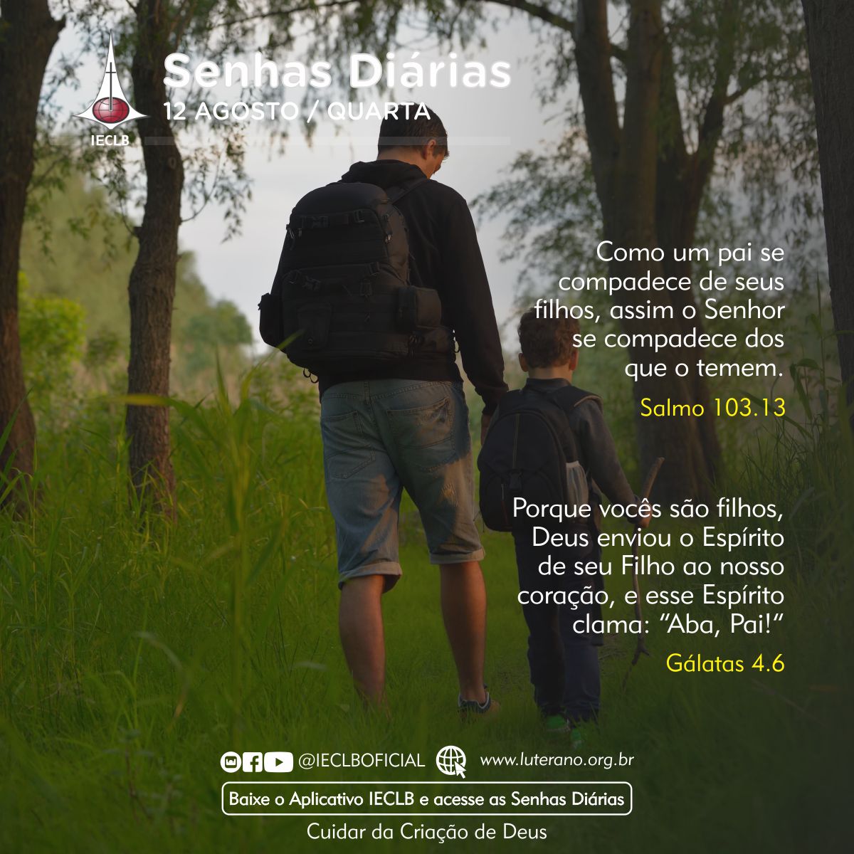 Senhas Diárias 12 08 2026