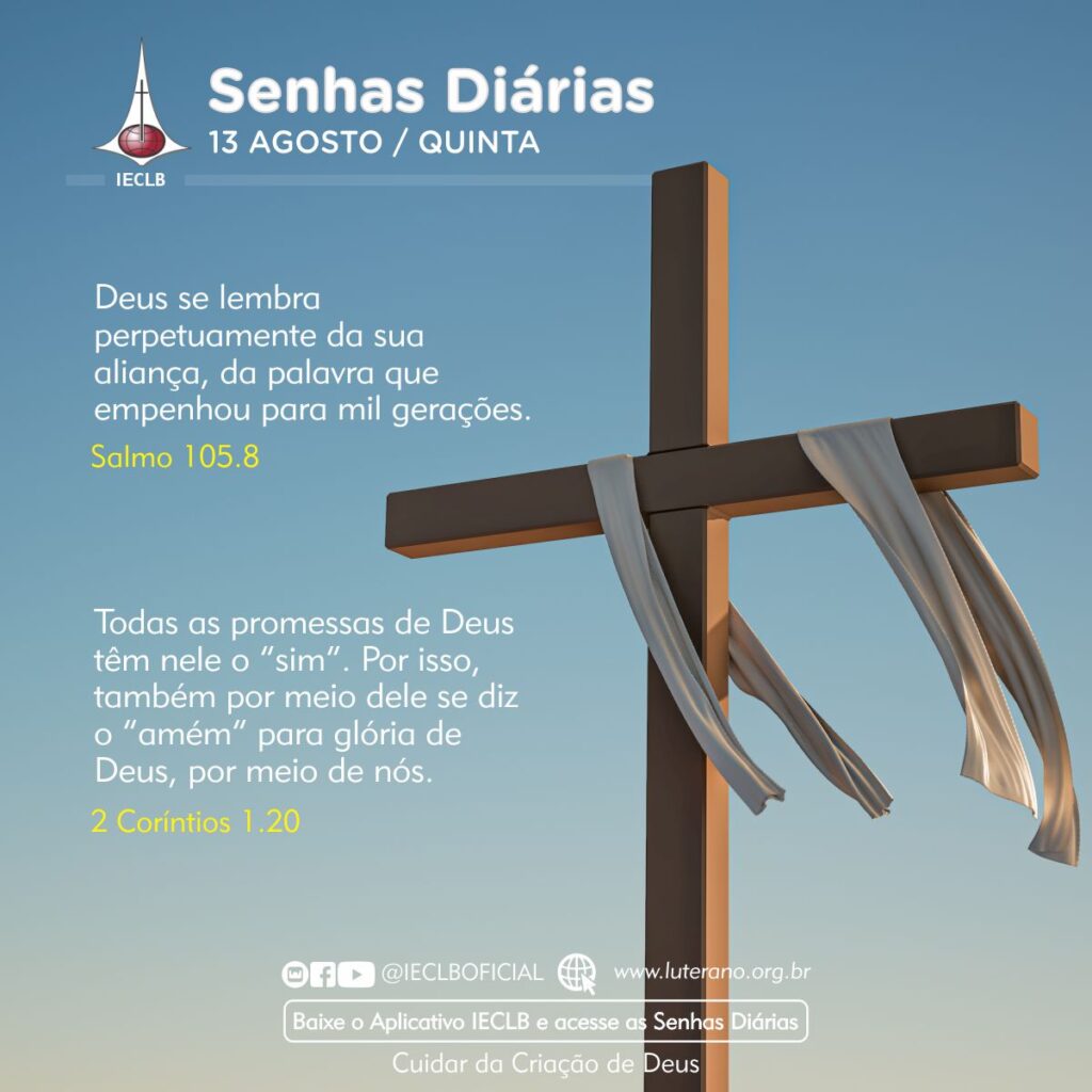 Senhas Diárias 13 08 2026