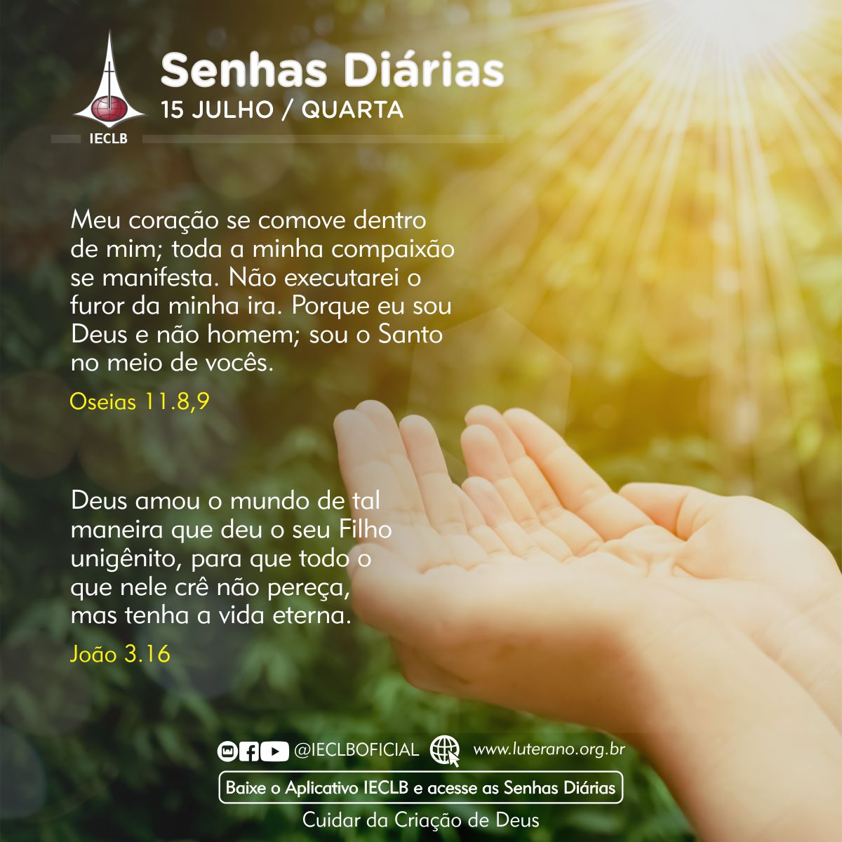 Senhas Diárias 15 07 2026