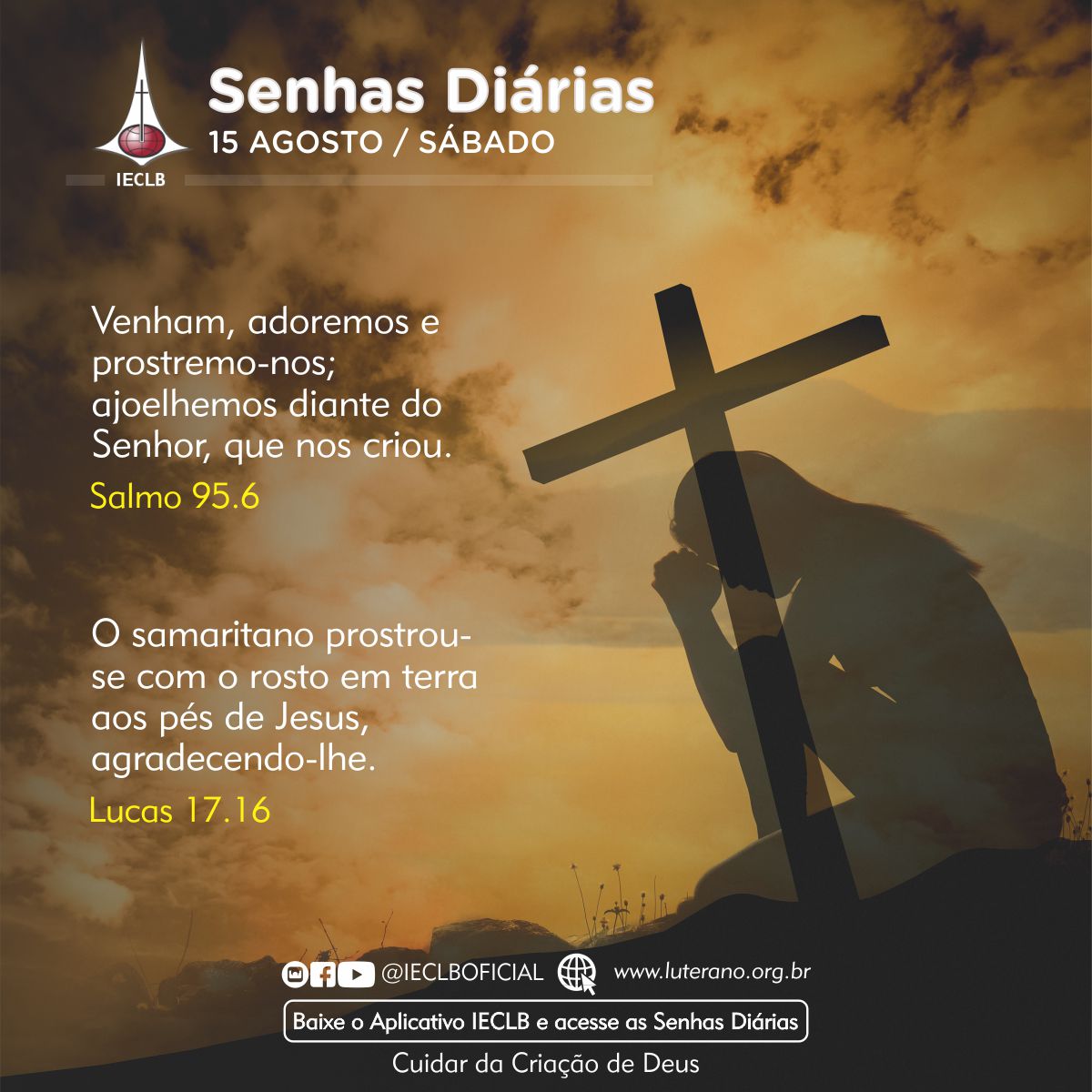 Senhas Diárias 15 08 2026