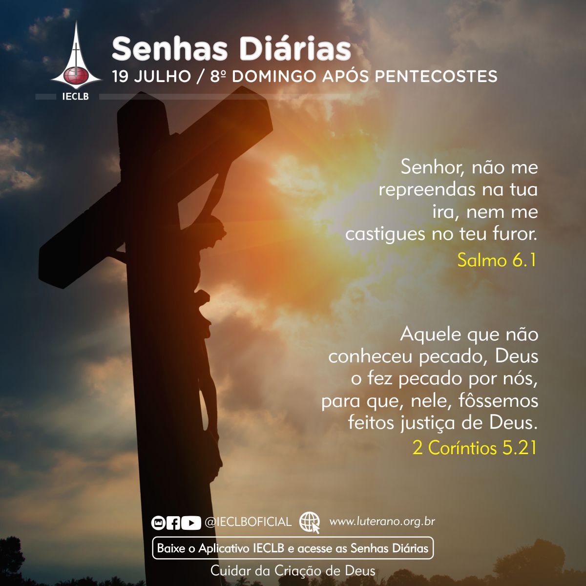 Senhas Diárias 19 07 2026