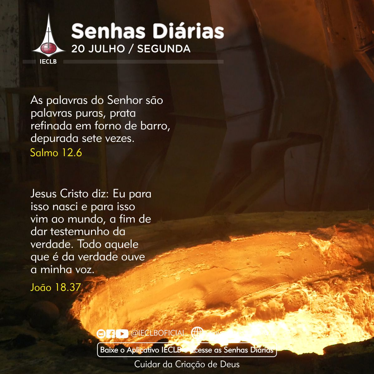 Senhas Diárias 20 07 2026
