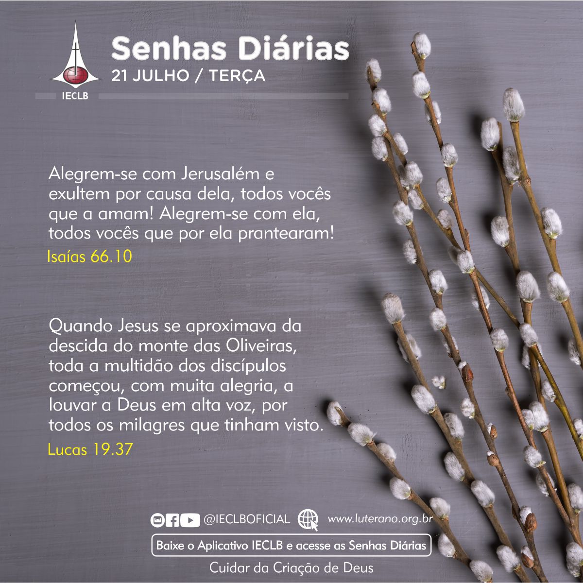 Senhas Diárias 21 07 2026