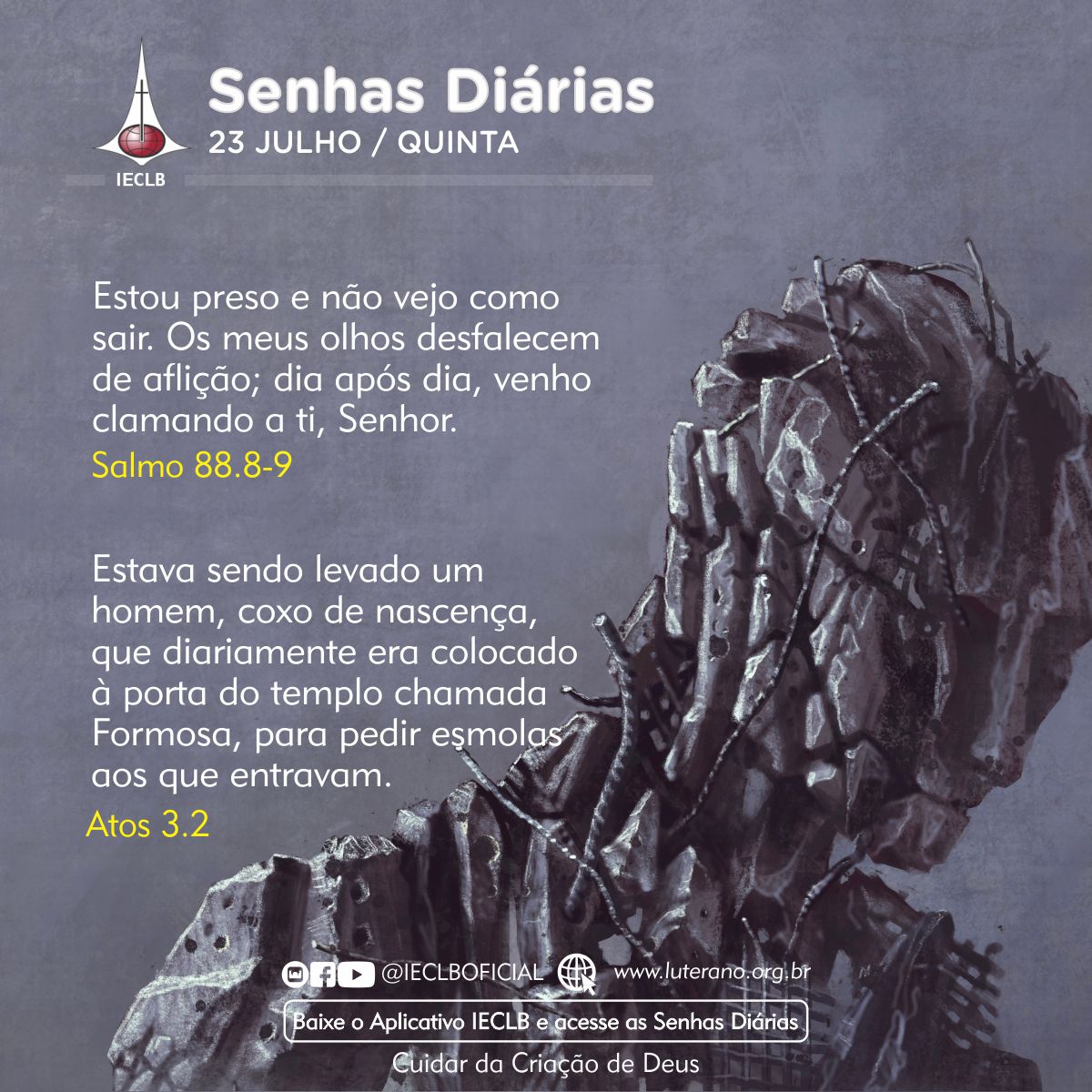 Senhas Diárias 23 07 2026