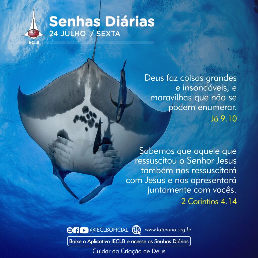 Senhas Diárias 24 07 2026