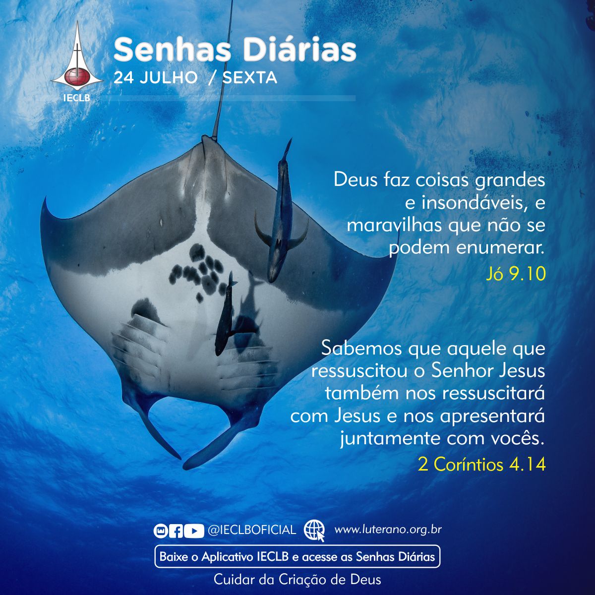 Senhas Diárias 24 07 2026