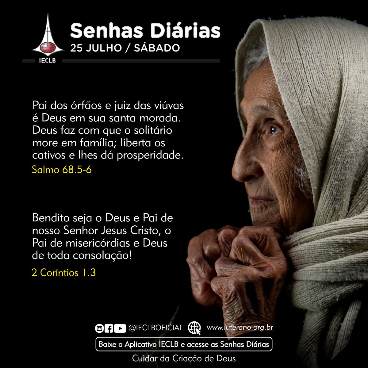 Senhas Diárias 25 07 2026