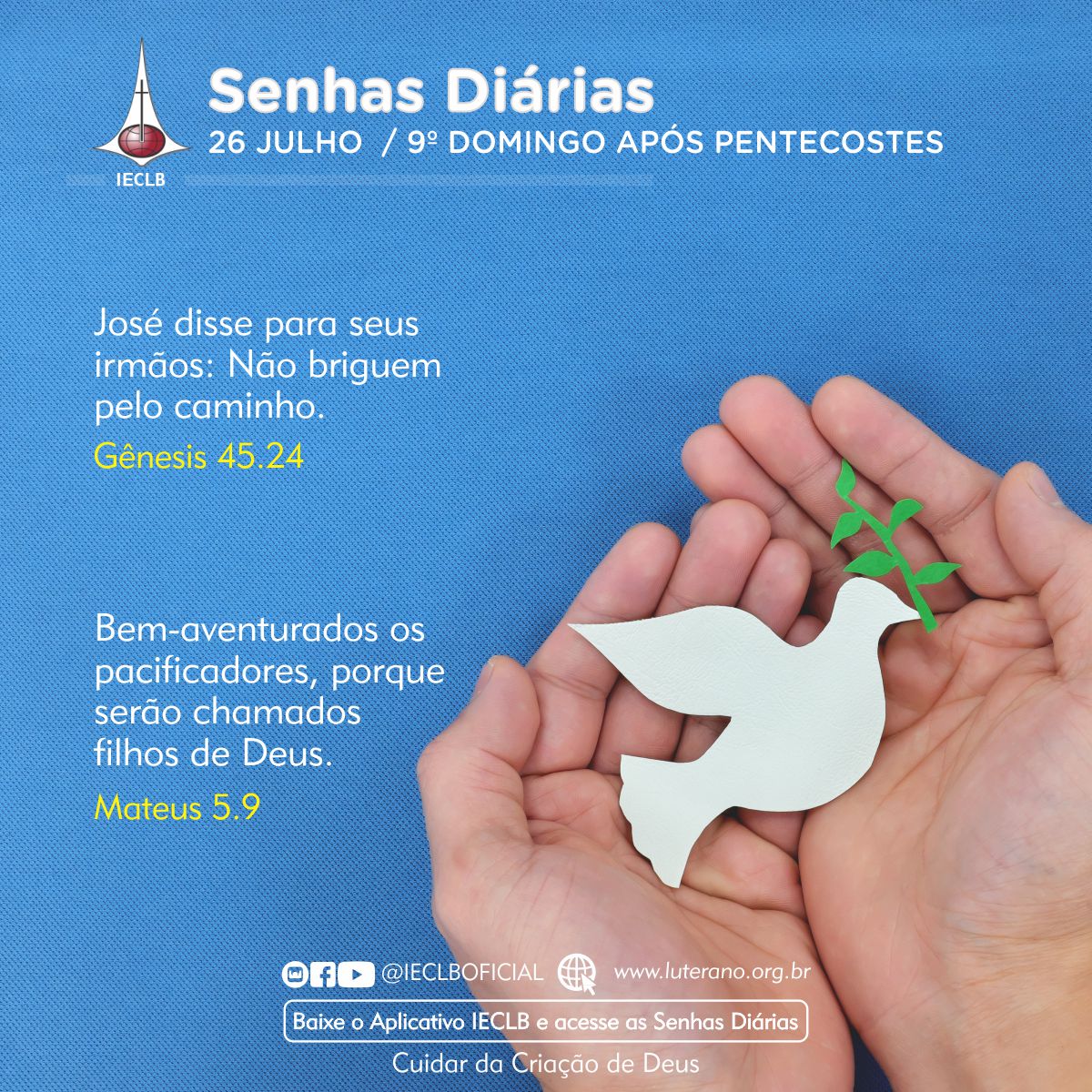 Senhas Diárias 26 07 2026
