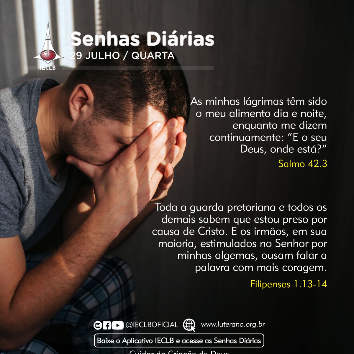 Senhas Diárias 29 07 2026