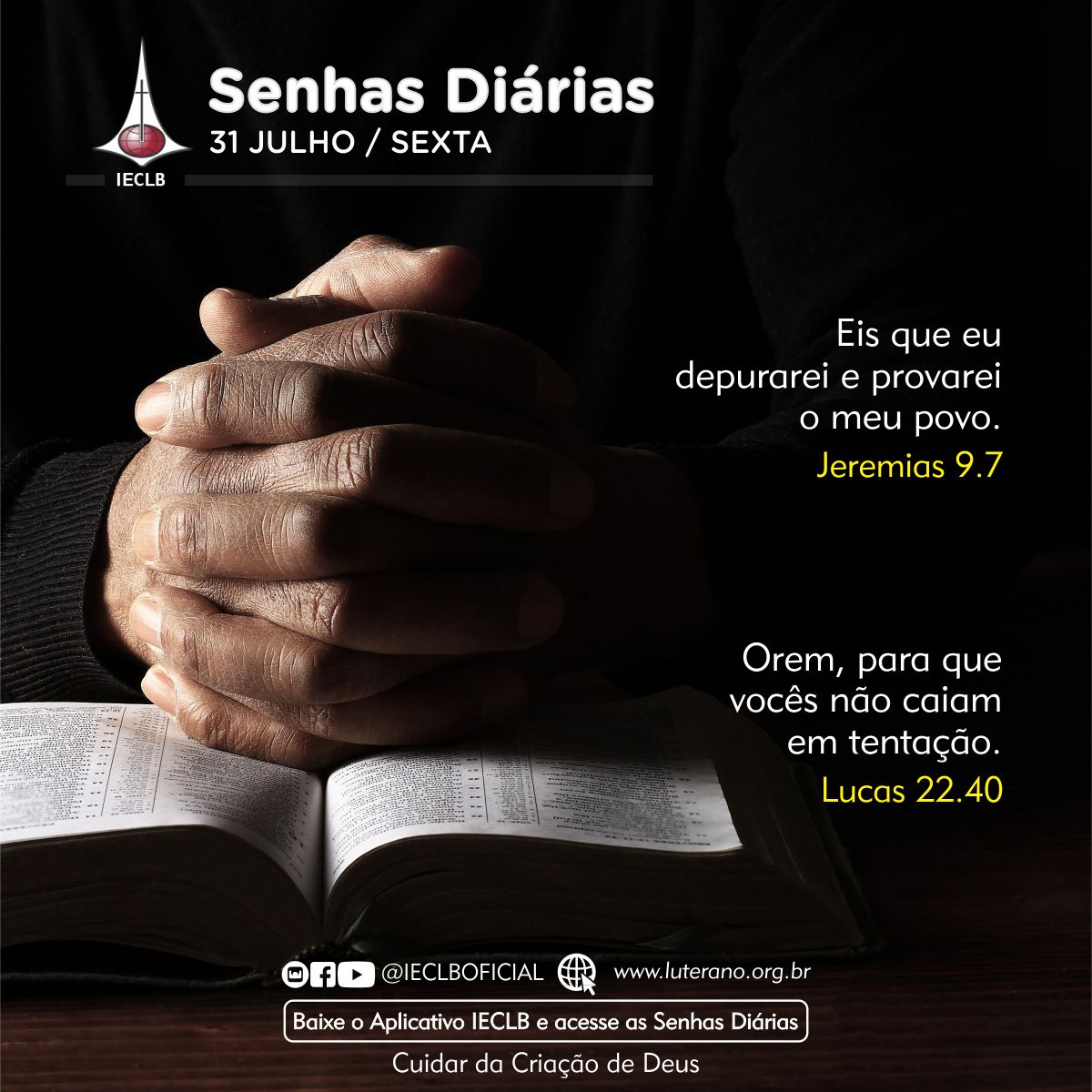 Senhas Diárias 31 07 2026