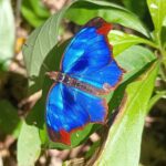 Jovens Rio de Janeiro (6)