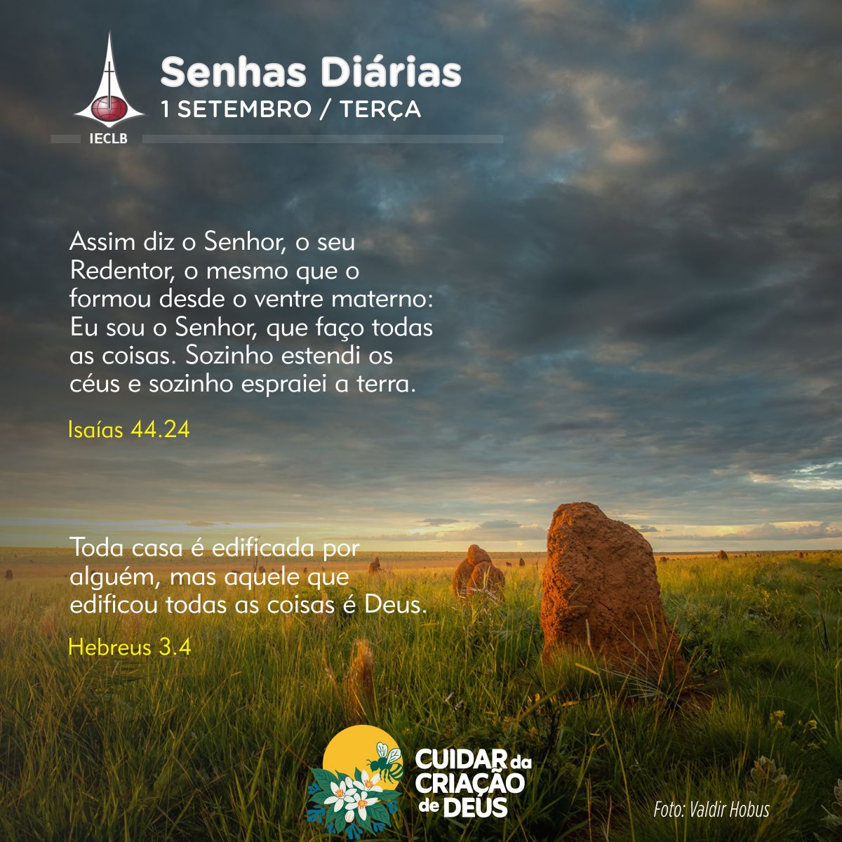 Senhas Diárias 01/09/2026