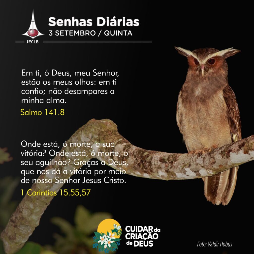 Senhas Diárias 03/09/2026