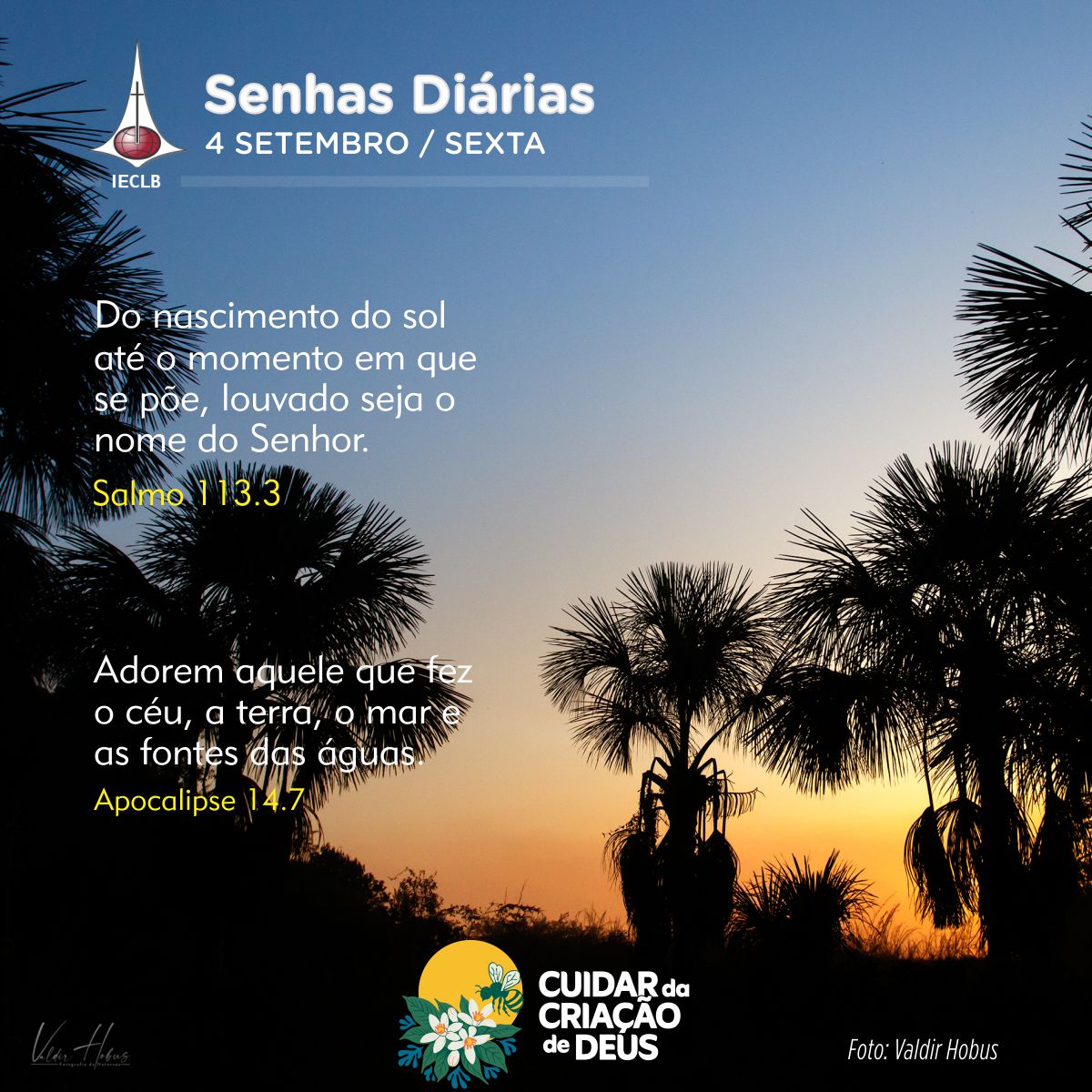 Senhas Diárias 04/09/2026