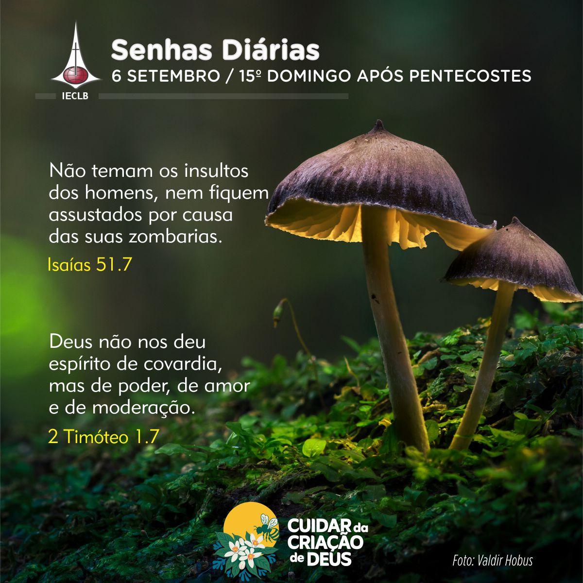 Senhas Diárias 06/09/2026
