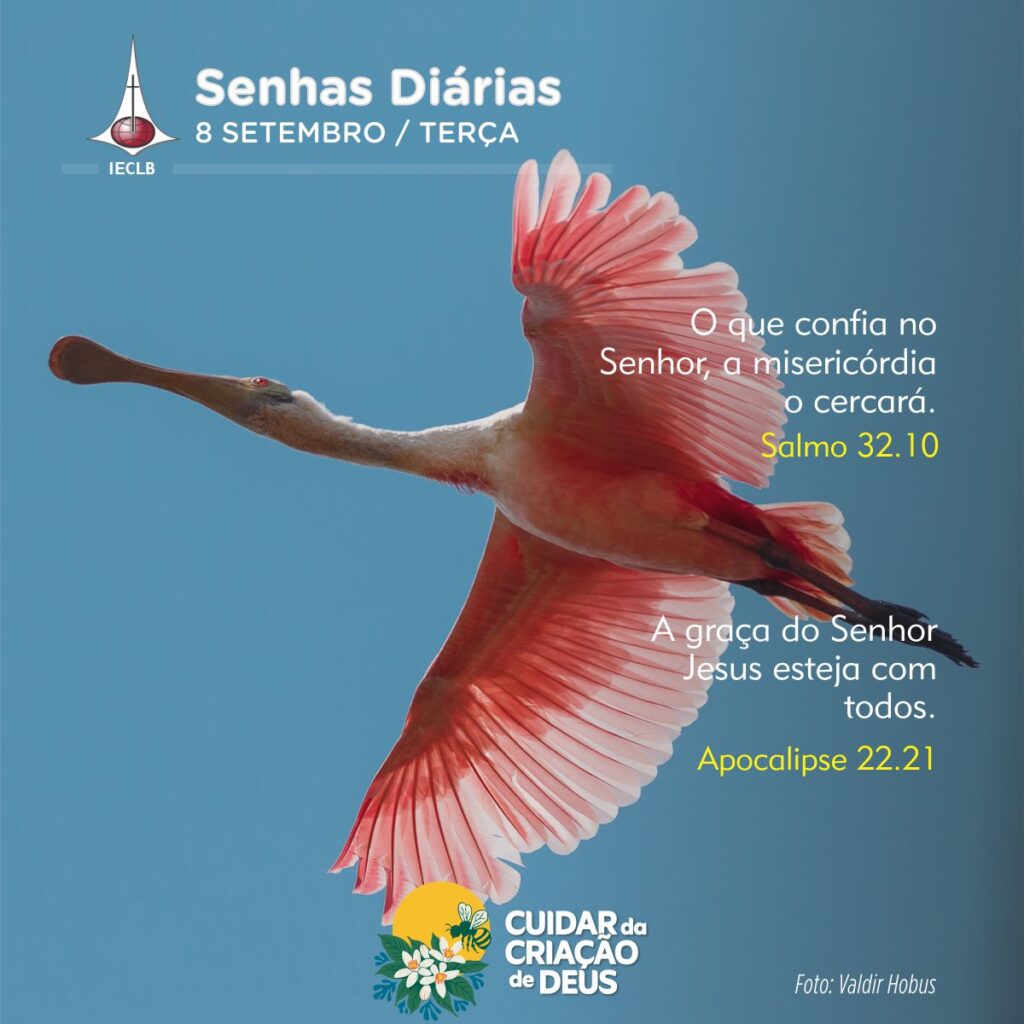 Senhas Diárias 08/09/2026