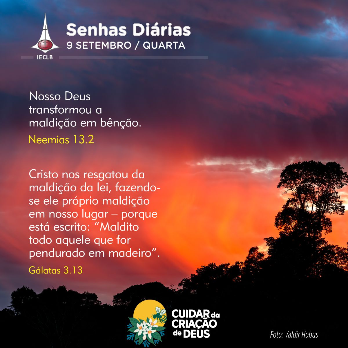 Senhas Diárias 09/09/2026