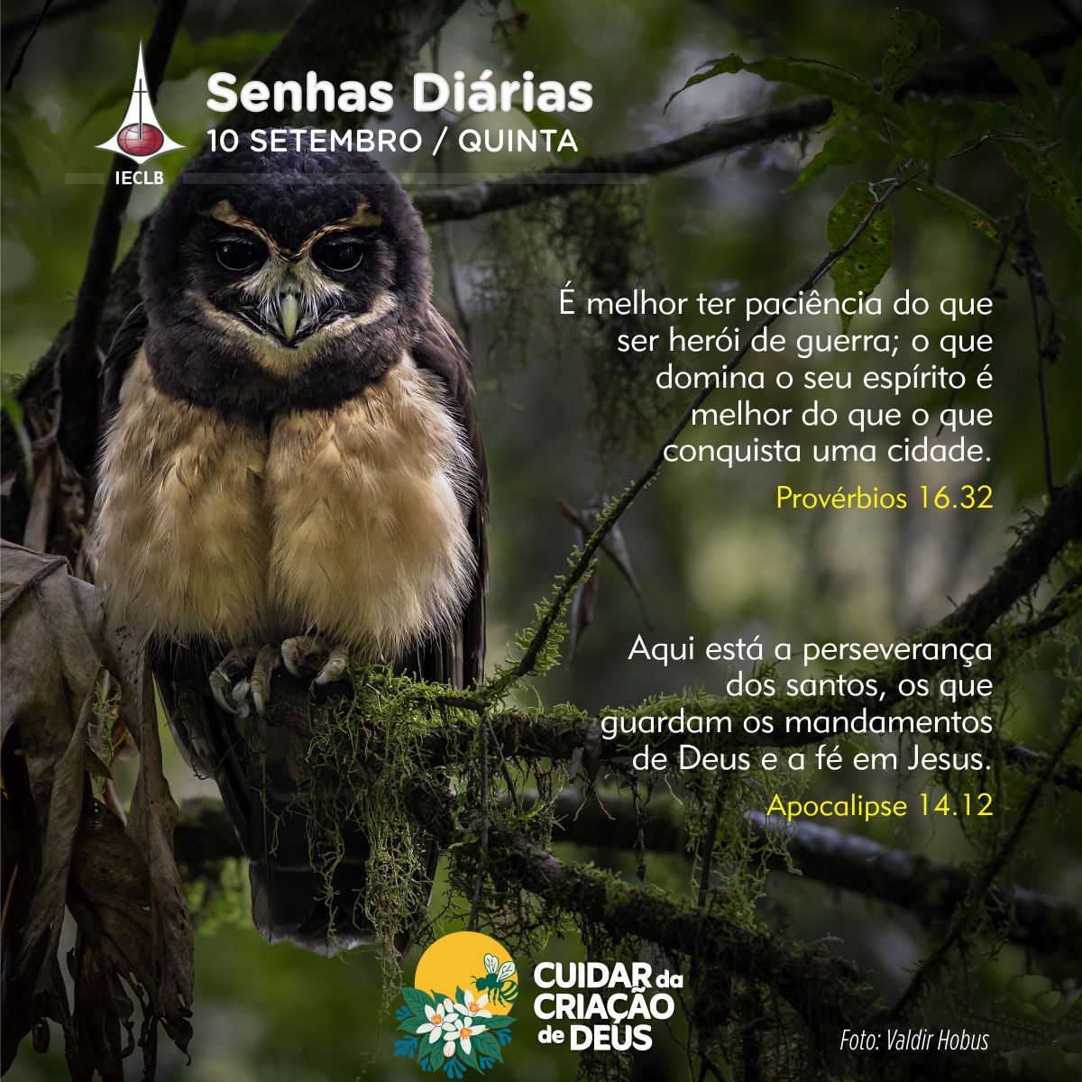 Senhas Diárias 10/09/2026