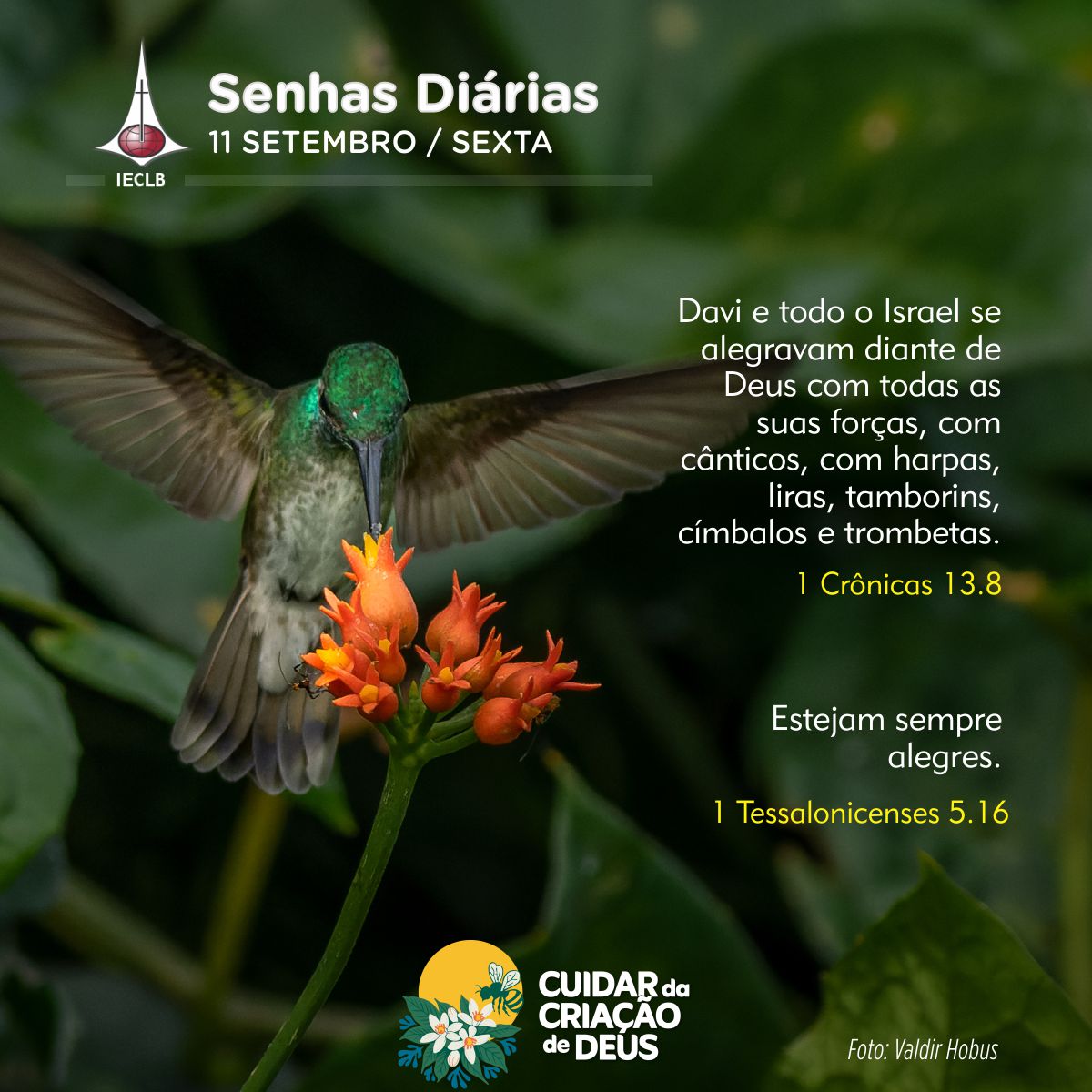 Senhas Diárias 11/09/2026