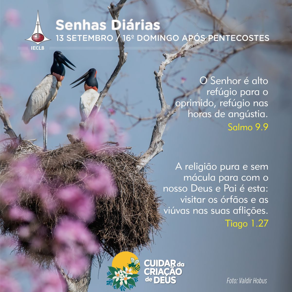 Senhas Diárias 13/09/2026