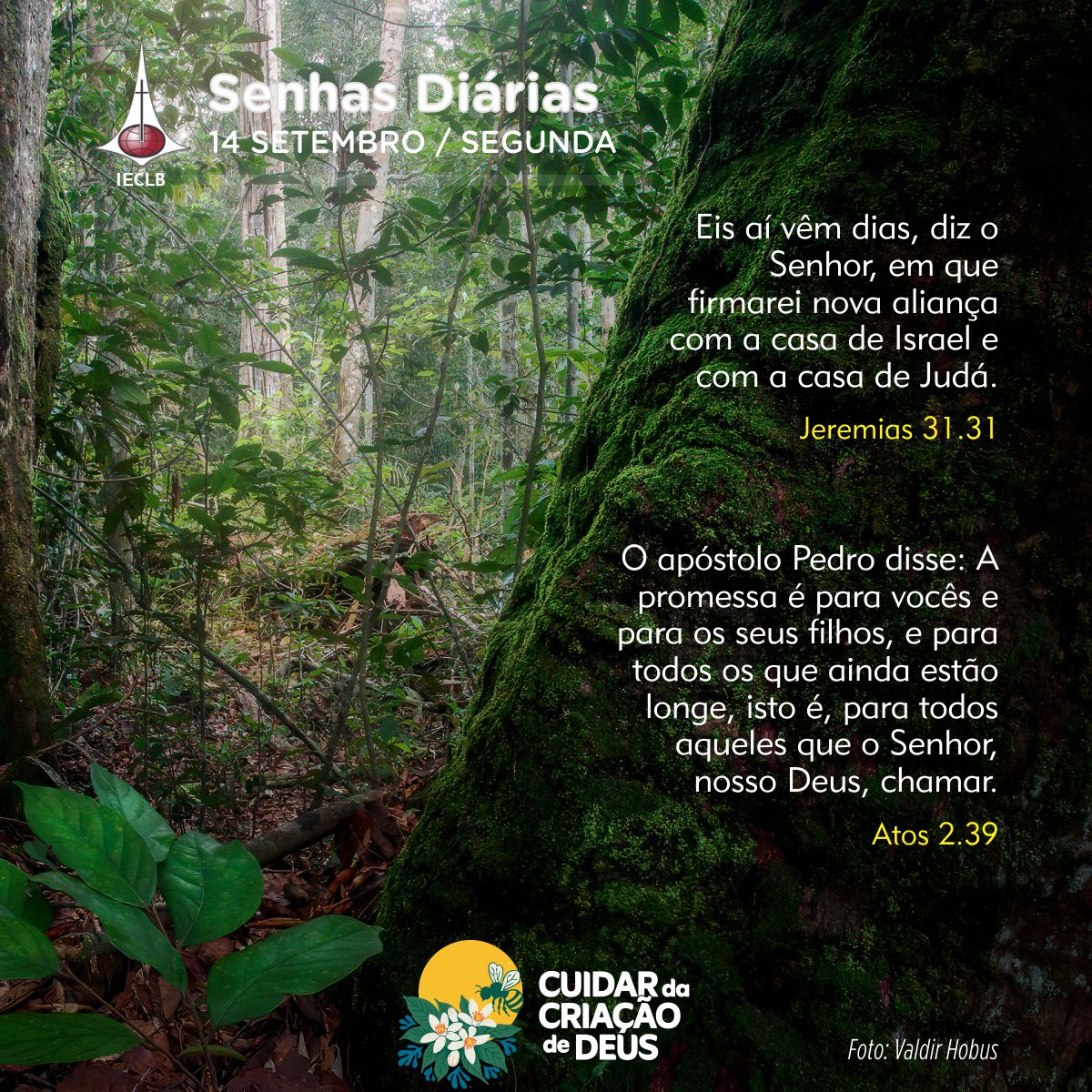 Senhas Diárias 14/09/2026