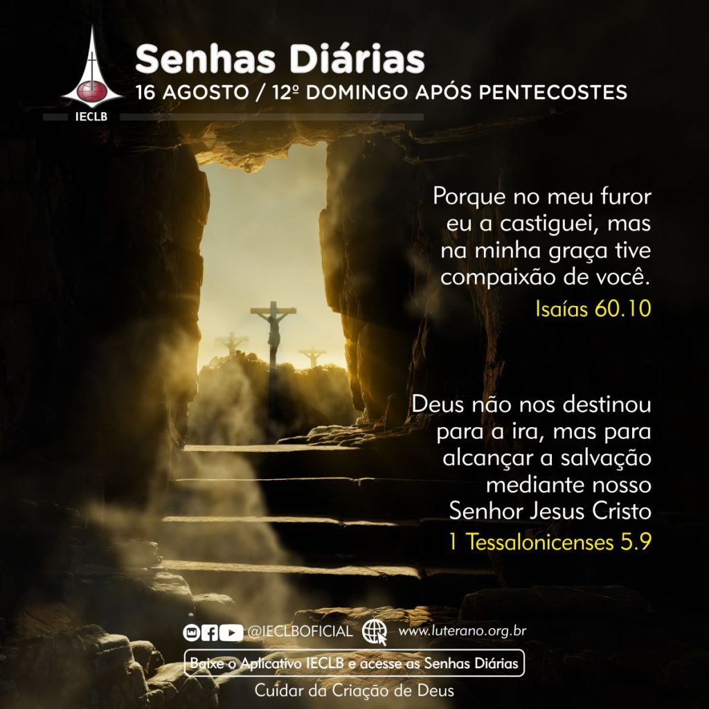 Senhas Diárias 16 08 2026