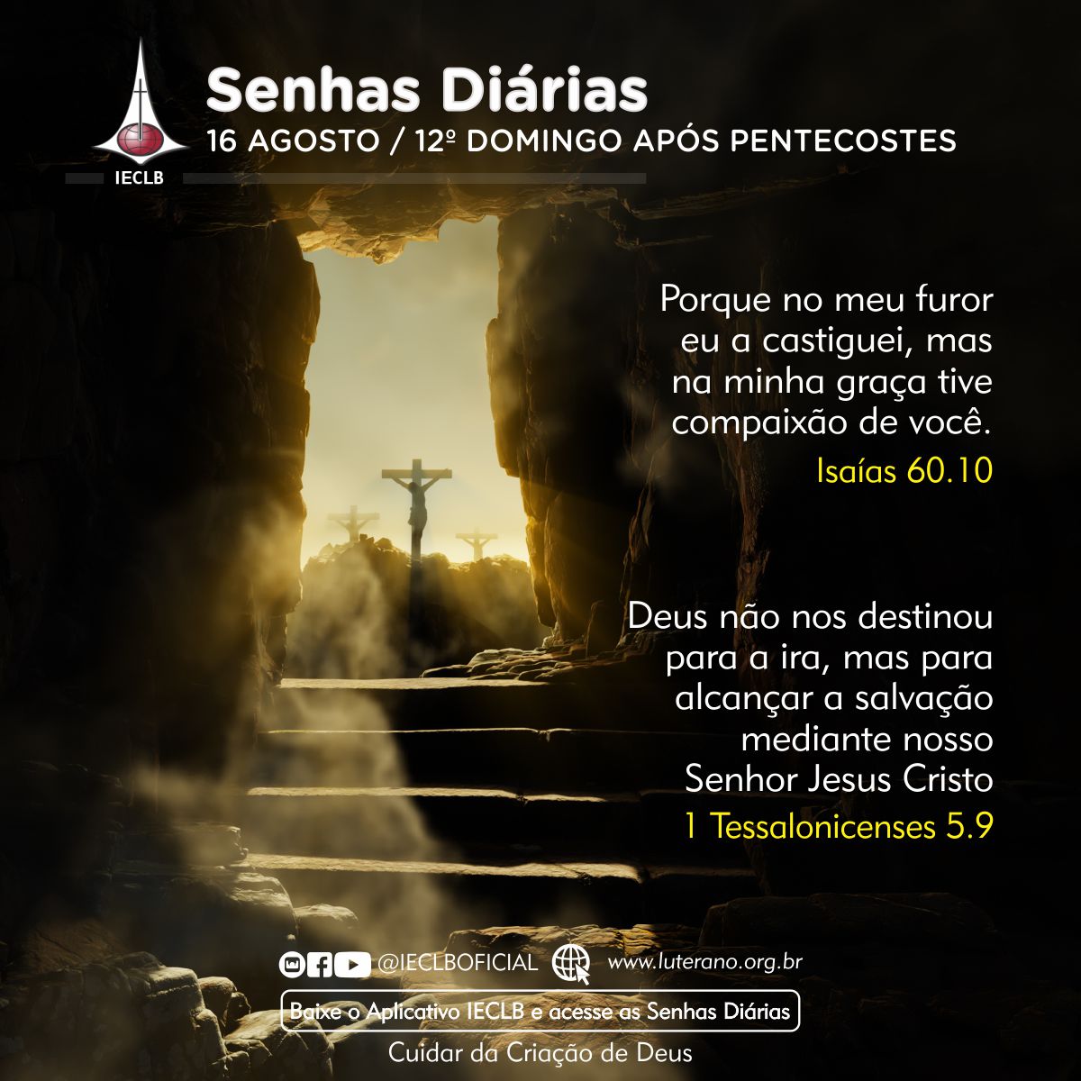 Senhas Diárias 16 08 2026