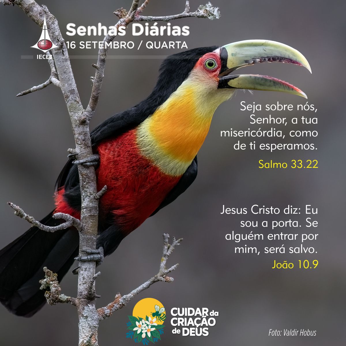Senhas Diárias 16/09/2026