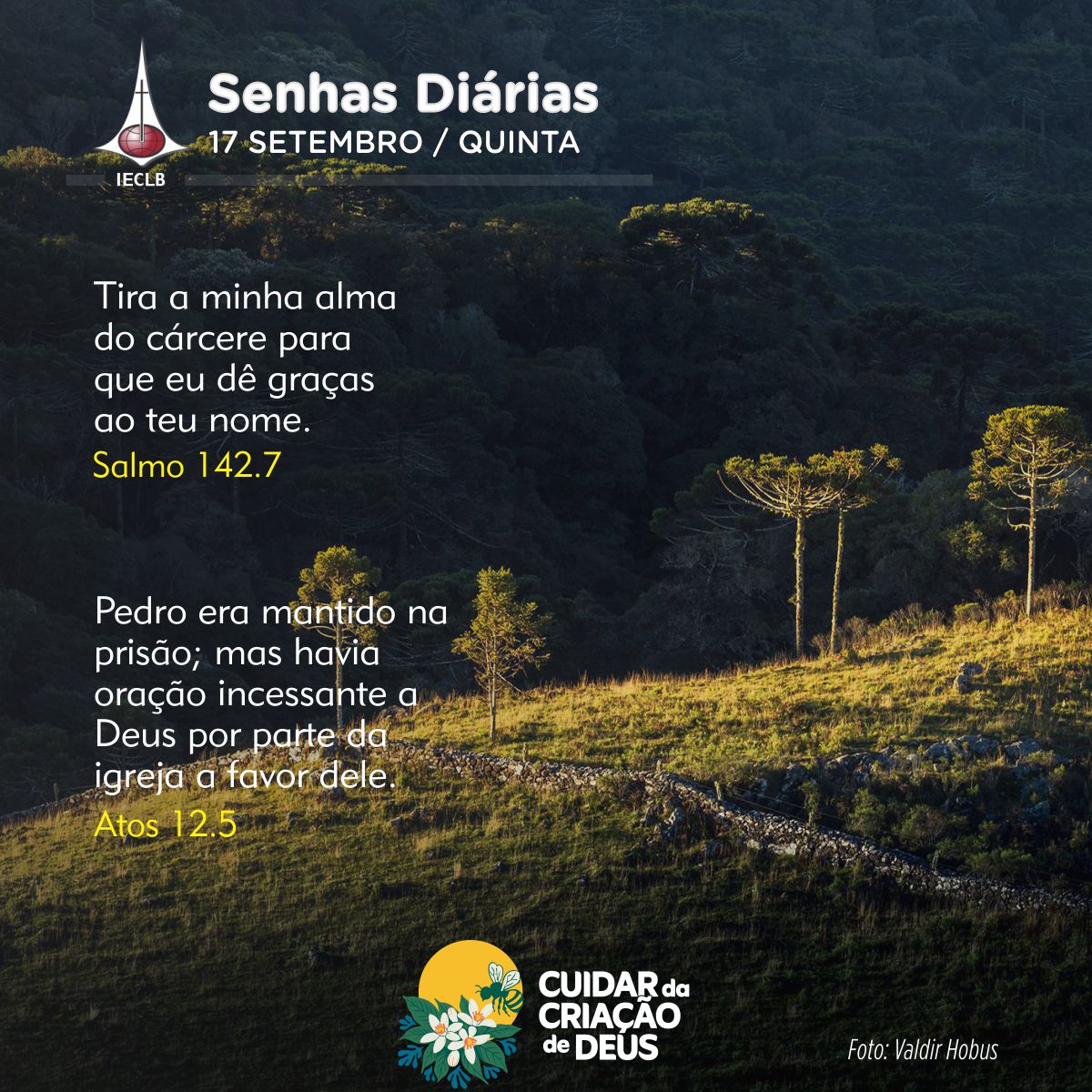 Senhas Diárias 17/09/2026