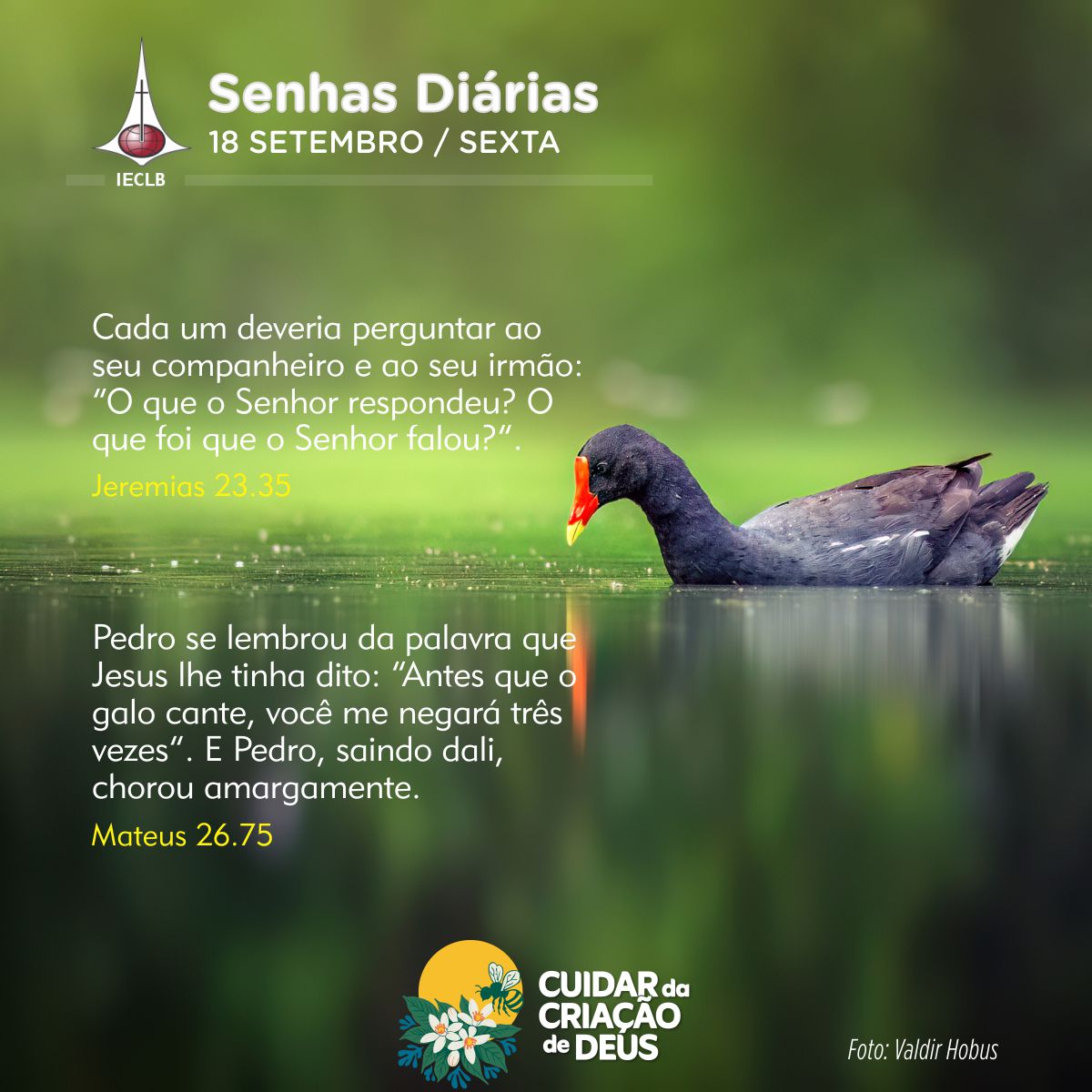 Senhas Diárias 18/09/2026