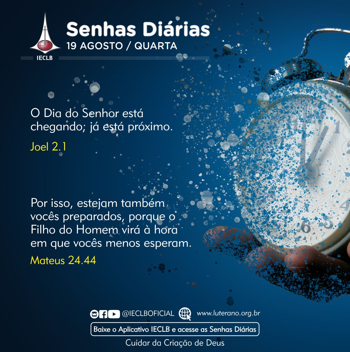 Senhas Diárias 19 08 2026
