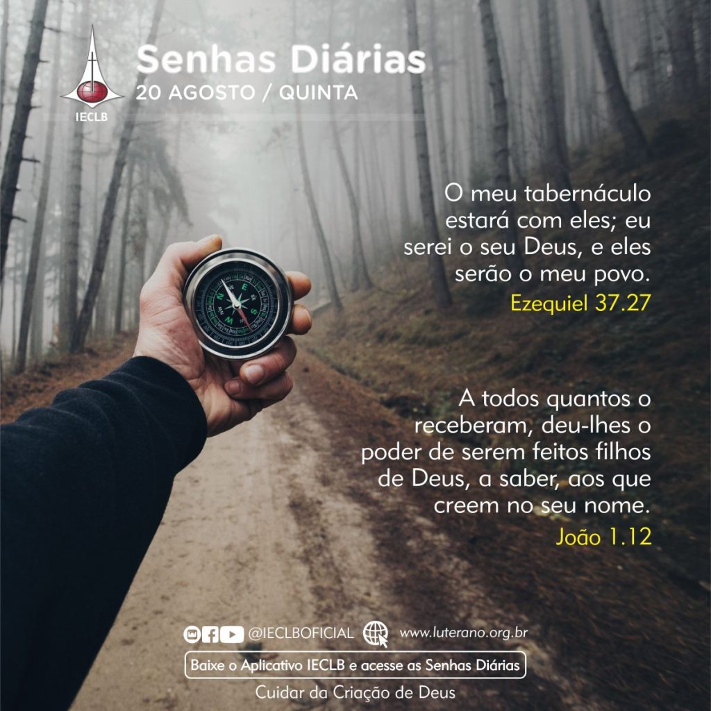 Senhas Diárias 20 08 2026