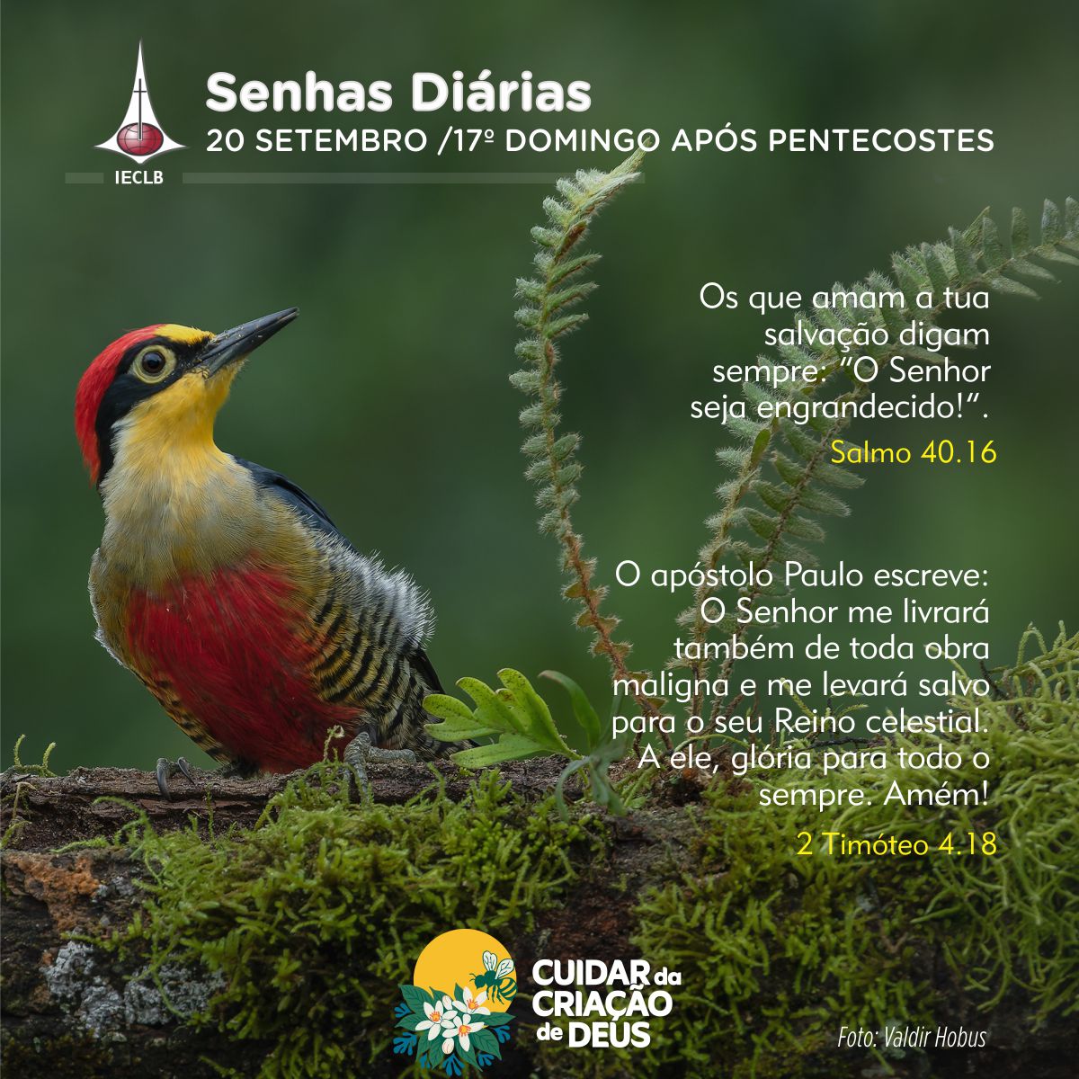 Senhas Diárias 20/09/2026