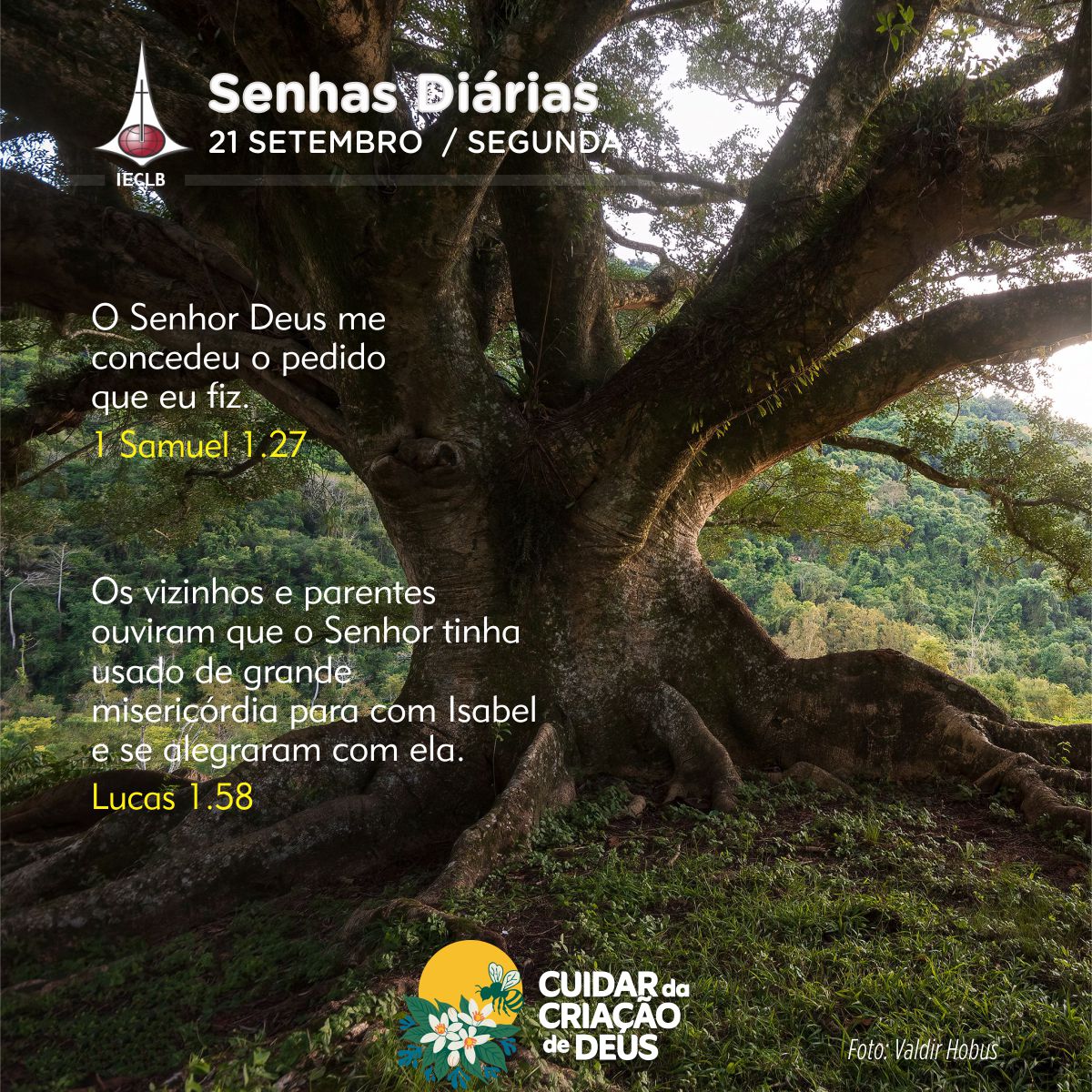 Senhas Diárias 21/09/2026