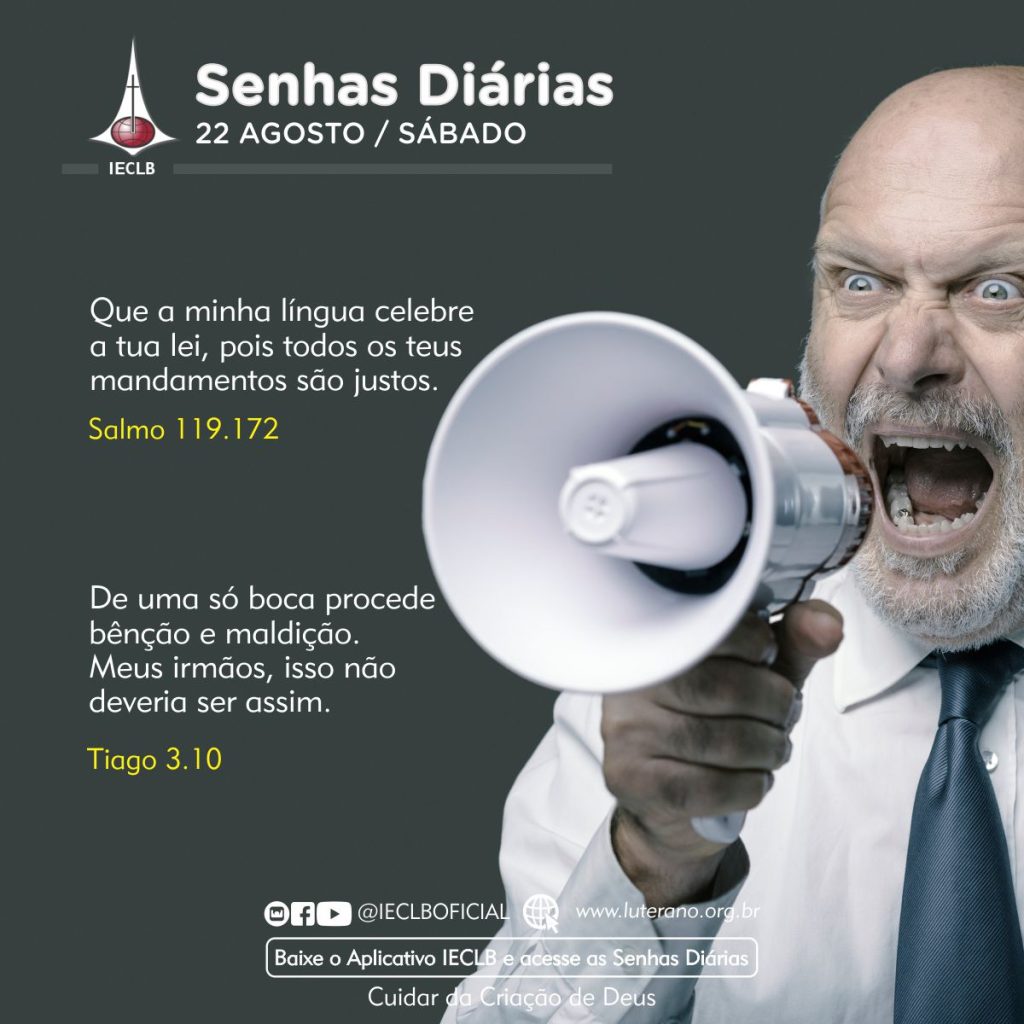 Senhas Diárias 22 08 2026