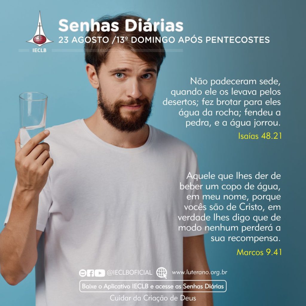 Senhas Diárias 23 08 2026