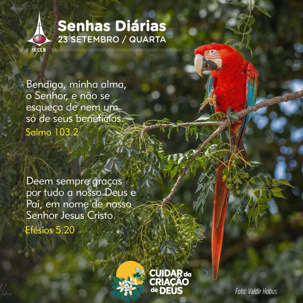 Senhas Diárias 23/09/2026