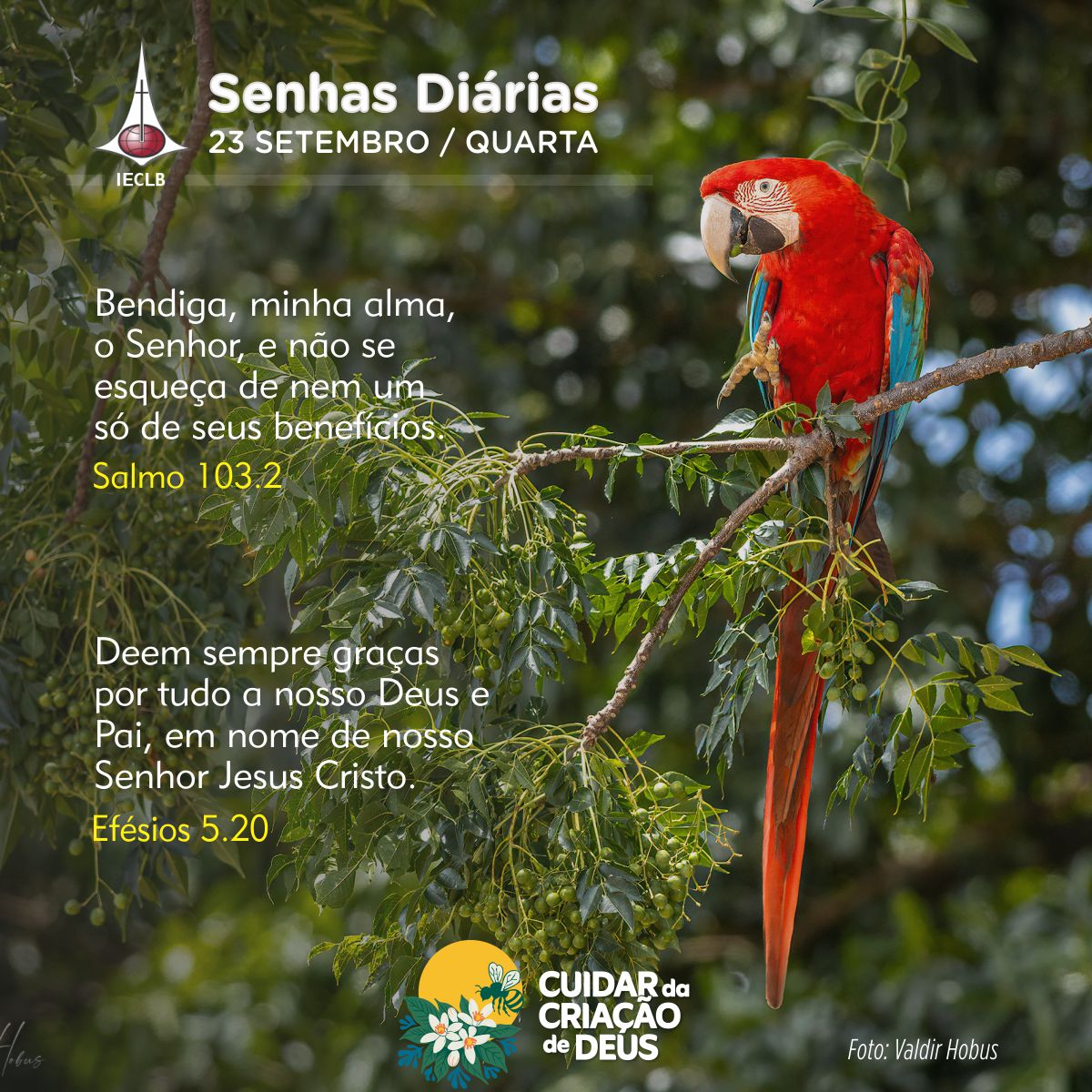 Senhas Diárias 23/09/2026