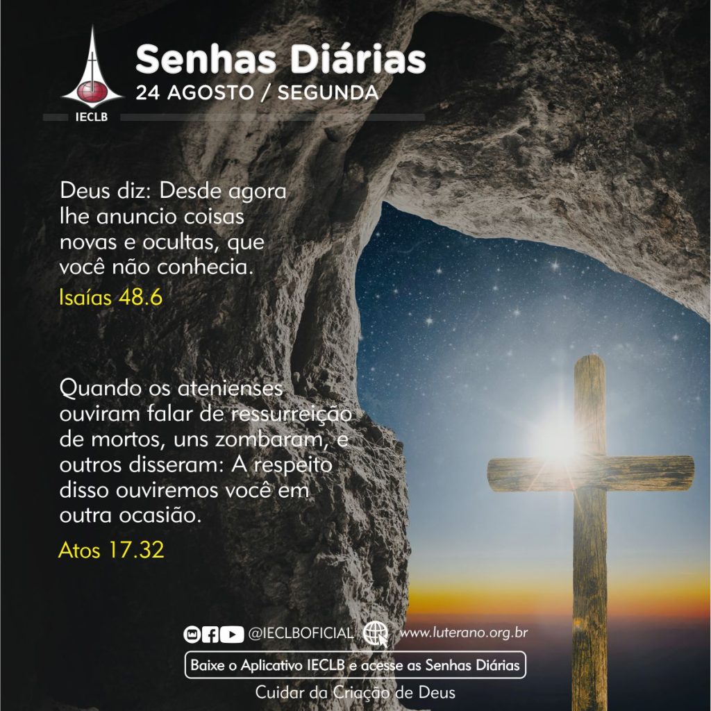 Senhas Diárias 24 08 2026