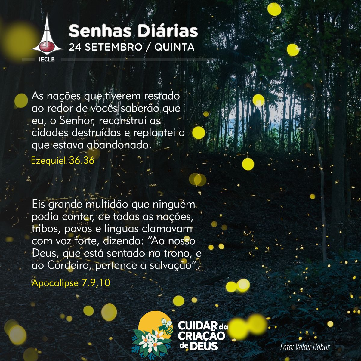 Senhas Diárias 24/09/2026